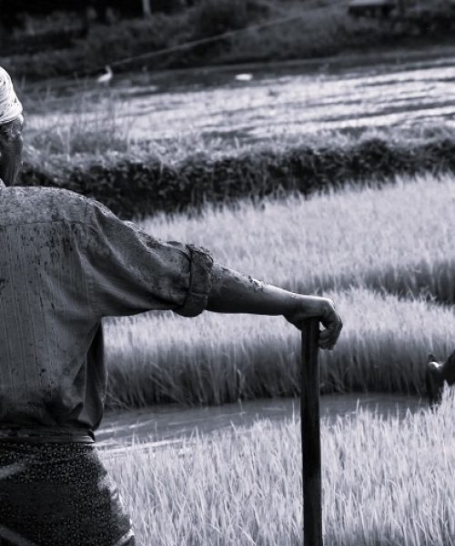 nandhu-kumar-fg5k00uT0TU-unsplash